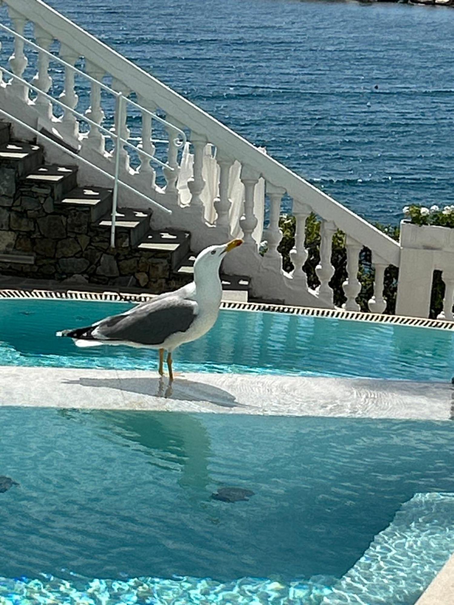 Hotel Helvetia Sestri Levante Luaran gambar